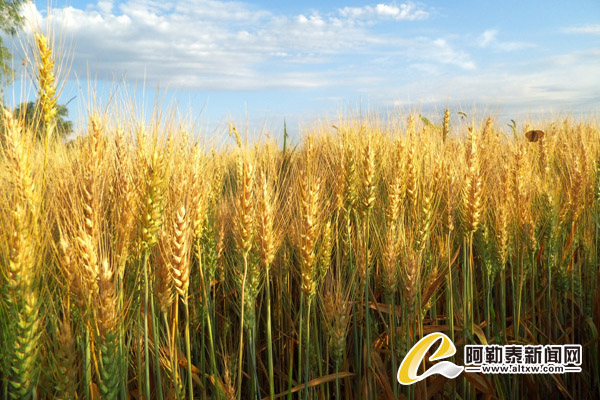 �½����ͺ���5.67��ĶС����ϲ�˷�������