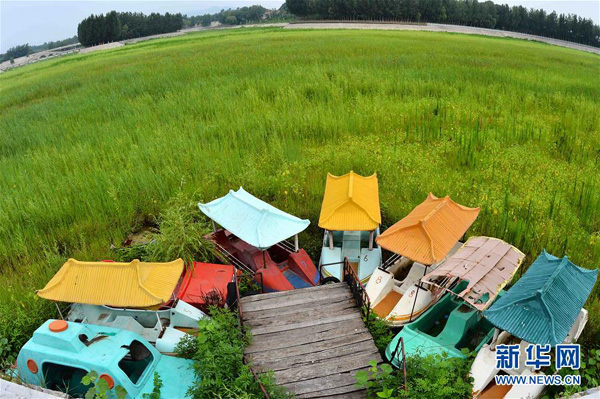 714գСͣɽΫҰݵһˮס