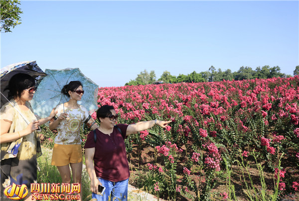 716գοĩĴʡ»ˮ̬ũҵ۹԰ޱ