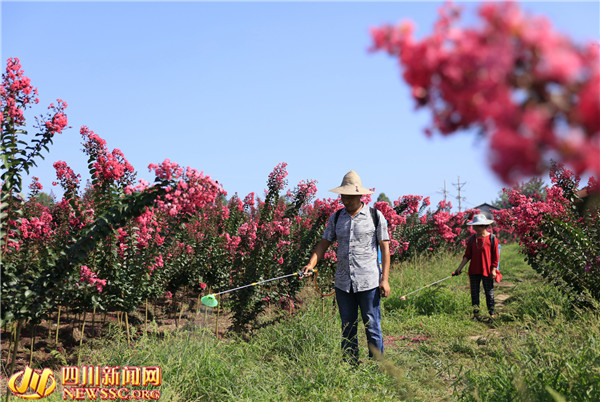 716գĴʡ»ˮĴڴͷ̬ũҵ۹԰ʢޱݼ