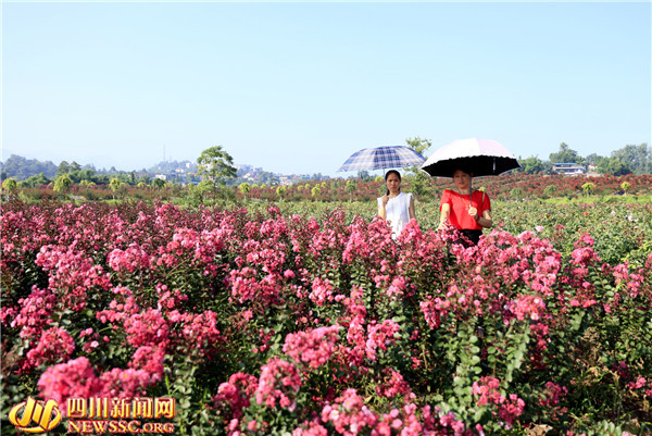 716գοĩĴʡ»С¿ɽ̬ũҵ۹԰ޱ