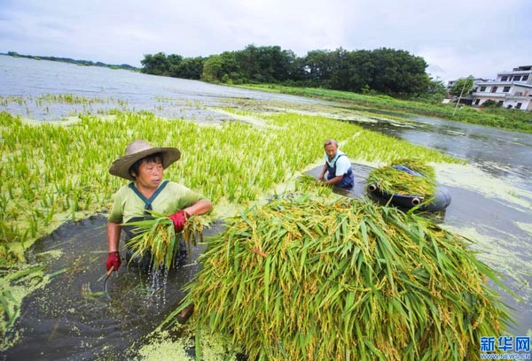 ����ʡ�����أ�ˮ�������絾