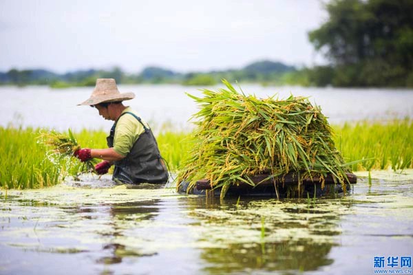 ����ʡ�����أ�ˮ�������絾