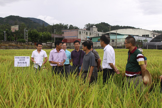 㶫ũشũƹԵĿȡúЧ