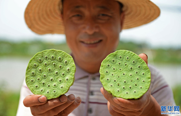 720գϲ½ɽ򈥽Ǵչʾժ