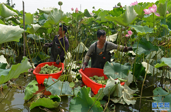 720գϲ½ɽ򈥽Ǵڲժ