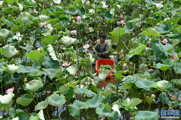 720գϲ½ɽ򈥽Ǵڲժ