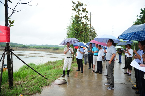 °²»Õ·ÊÎ÷ÏØÔֺ󲹸ÄÖÖÏÖ³¡ôßÌï¼ä¹ÜÀí¹¤×÷»áÕÙ¿ª