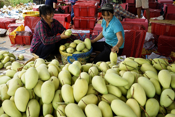 720գڹɫҽ򻪴һװâ׼