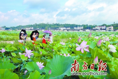 㶫Զͷ¥´壺Աȡչδũ