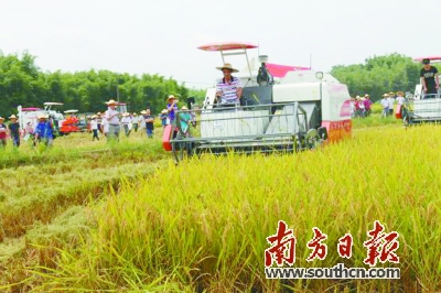 㶫Ӣ´ˮȫ̻еģʽũ ջذֽ