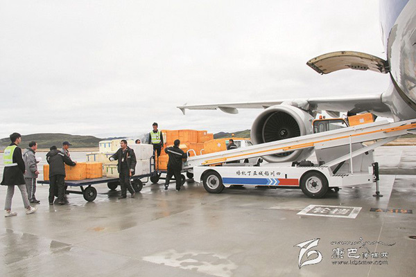 四川甘孜州野生食用菌“远走高飞”