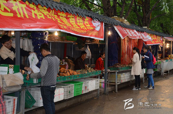四川甘孜州野生食用菌“远走高飞”