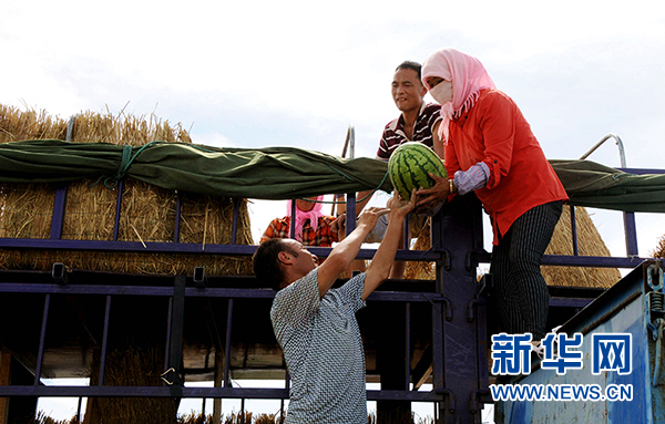 宁夏中卫:绿色“瓜海”环香山