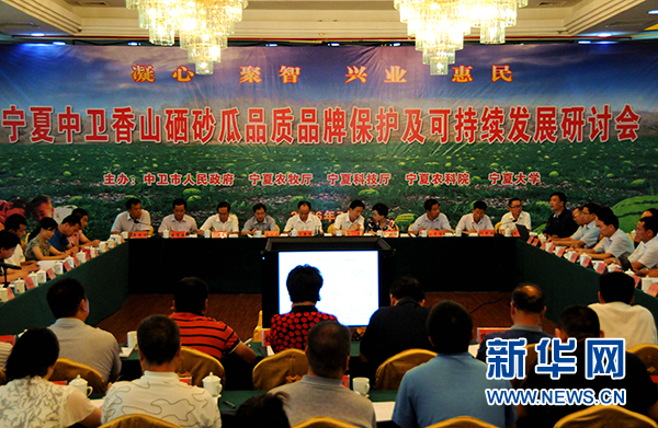 宁夏中卫:绿色“瓜海”环香山