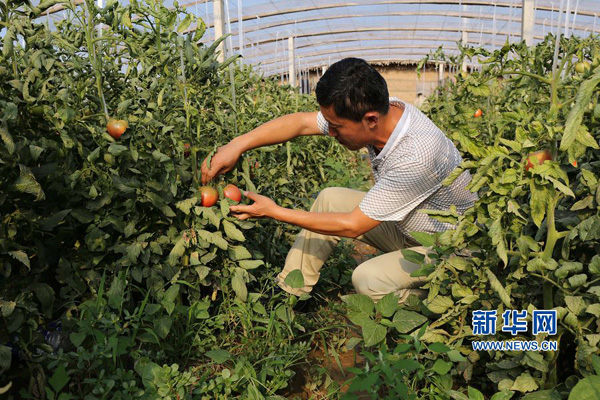 2016721գȨް´ׯڹڵ