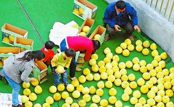 ӳļڣϪũѡӣ׼װۡ