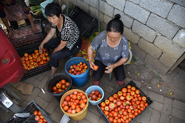 723գӺӺֵƽë´ӭҶӢһժõװ䡣