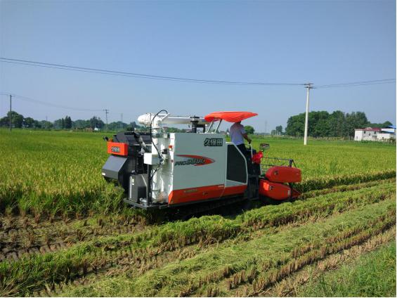 安徽怀宁县未淹早稻开机收割