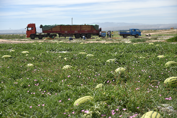 723գǰչɰϵĴͣɽԡ