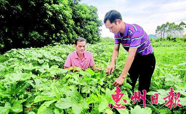 㶫вؾˮ彨վ ũƷ߳С