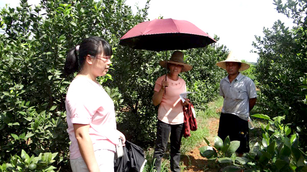 ƽ𣺼ǿˮȫල ¸š