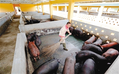 �����Ͳ�����̬�������Ϊ��