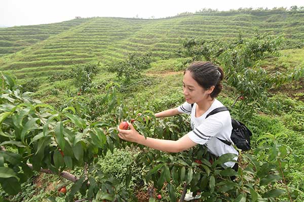 729գοڴڵĲժ԰ڲժˮ