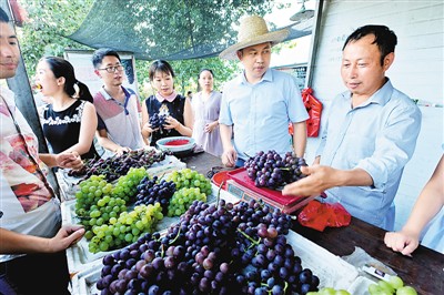 ͼΪοѻزժѡ׿ΰ ޴Ӣ