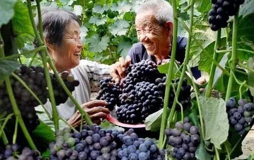 ɽˮȪׯѲժ ۸¸߸ũ