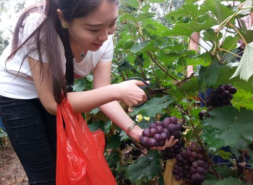 ѽڣǰɽʡȪׯ԰ժοﲻ