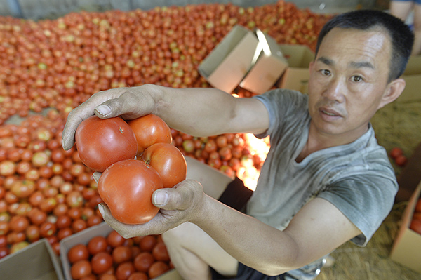 ͩһչ㣬߲˾չʾչȻƷܺãչ۸Ȼǻ0.1Ԫÿﵽ0.2Ԫÿ82㣩