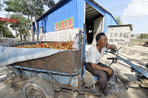 ͩռȦ壬һλũĴѰչ82㣩