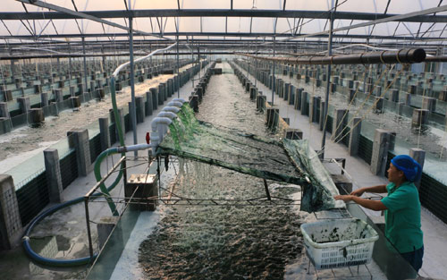 83գɽʡ޳ֳأԱȡ塣