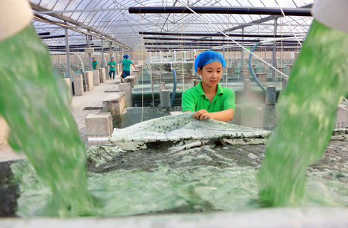 83գɽʡ޳ֳأԱȡ塣