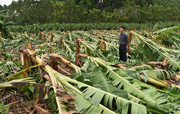 84գũҵƹվվƳڲ鿴㽶