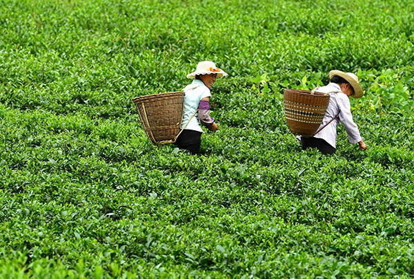 87գʡؽ԰ˮӴũڲժ衣