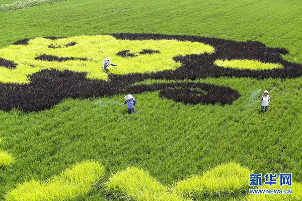 87գڽ̩ѩ̬塰ʵũũҩ