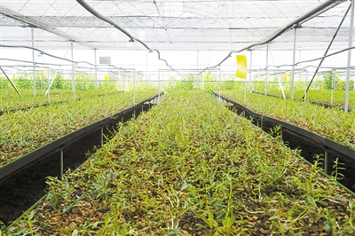 㶫麣ݷػлת֤֤ ĶƤʯ