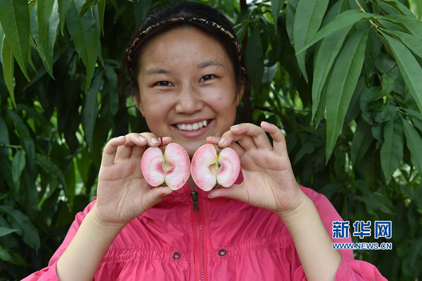 87գںʡ´һ̬԰ժ԰οƻժȤ