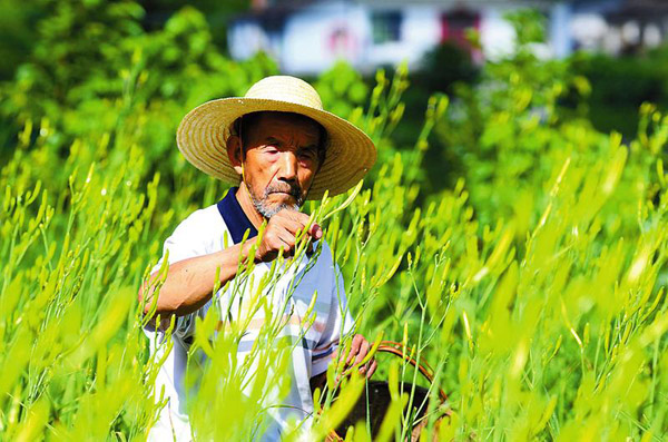 ʯȪĶƻ˷ Ķֵͻ8ǧԪ