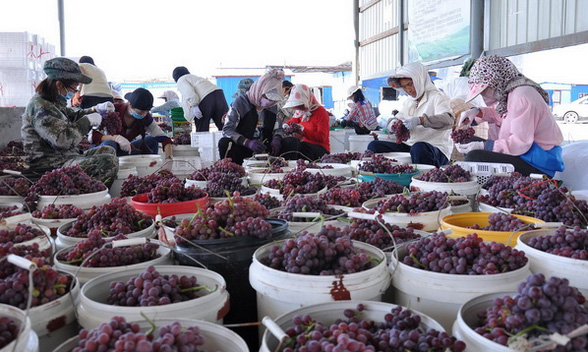 ½ŵʦһ4000Ķʳѽժ