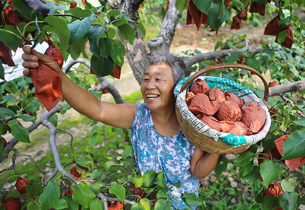 810գӱʡرشũ԰ժ档