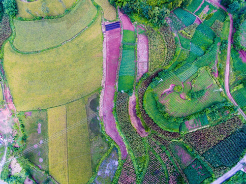 콫Ͷʰڸũ ũ徭÷չ