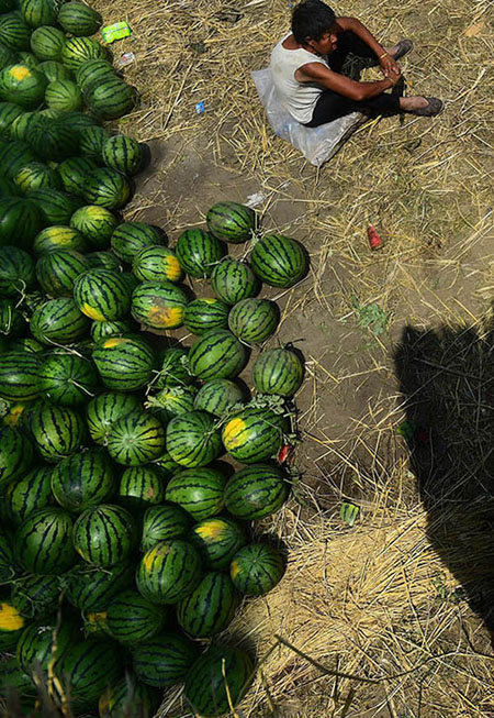 810գڼԭ̫ƽɽ壬һλũڵȴչǰչϡ