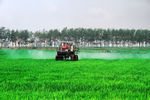 安徽省农垦龙亢农场科学田管保丰收