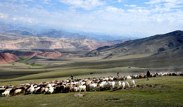 814գ½տ¶ݼ磬߷ɳٱһȺת