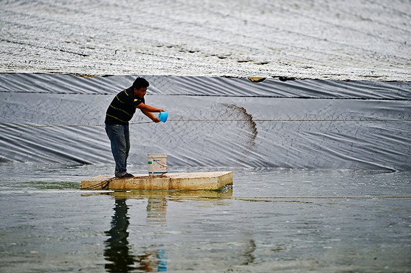 ĺŻҵҵṹ 조ҵǿء