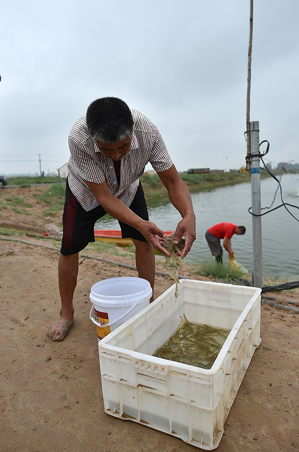 815գĺ̬ũҵǧĶϺֳڽϺװԱ⡣