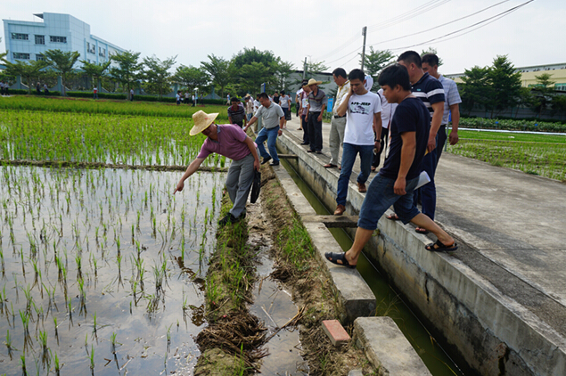 㶫лĿܻӭũҩȫʹԳЧ